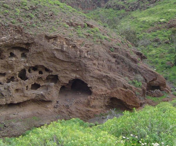 Cuevas del Palomar Barranco de Guayadeque