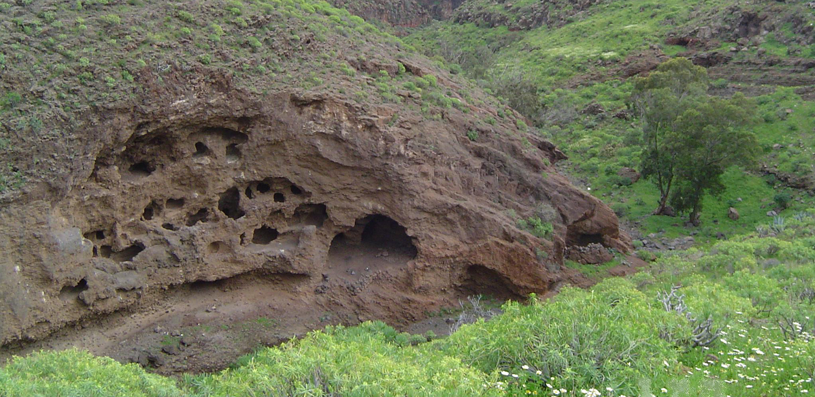 Cuevas del Palomar Barranco de Guayadeque